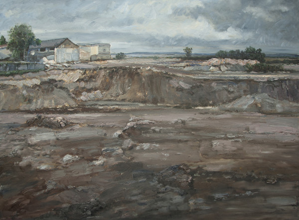 作品名称:《土地•正在消失的家园》获江苏省第5届新人展•佳作奖